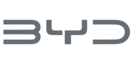 Logo BYD Madiun